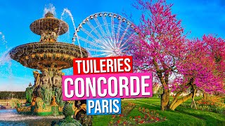 Place de la Concorde, Jardin des Tuileries  | Paris, France (Paris in Spring)