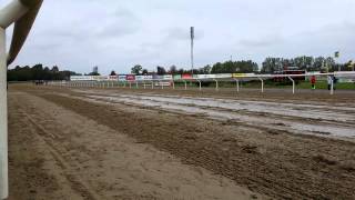 Galopp race på Jägersro