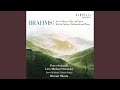 Trio for Horn, Violin and Piano in E-Flat Major, Op. 40: IV. Finale. Allegro con brio