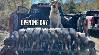 Flooded Timber Ducks | Arkansas Opener