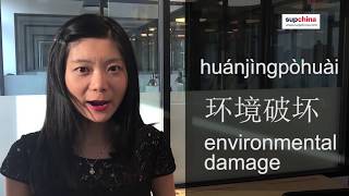 SupChina word of the moment: environmental damage