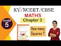 #studytime Class 5|Maths|Chapter 3/How many squares?/KV/NCERT/English Explanation/Textbook solutions