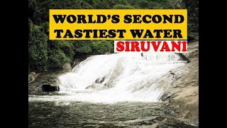 SIRUVANI Waterfalls (2nd Tastiest Water in the world)  #Siruvani #Coimbatore