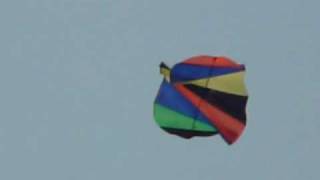 Kinetic Kite a middle size　M