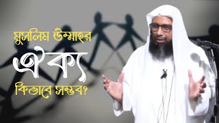 বর্তমান মুসলিম উম্মাহর ঐক্য কিভাবে সম্ভব? ড. মনজুরে এলাহী।