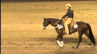 Pepelan AQHA Novice Cattle Championships