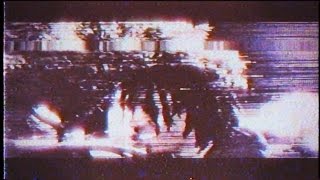 Chris Travis & Bones - ForestFires