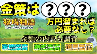 【牧場物語】金策は○○○万円以上集まればする必要がないことが判明しました！その内訳とともにご紹介！【牧場物語オリーブタウンと希望の大地＃39】