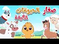 أغنية أين أبي - صغار الحيوانات الأليفة  | أغاني أطفال طم طم