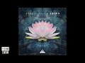 Jossie Telch - Lotus