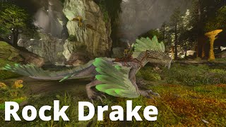 Jak ukrást vajíčka Rock Draků ( Rock Drake taming ) - Ark Survival Ascended Aberration CZ/SK