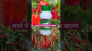 ये किसी कीट को नहीं छोडता | hamla 550 insecticide | #drpunitshishodia