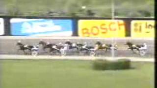 Elitloppet 1989 -Napoletano