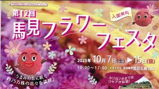 馬見丘陵公園・秋の花たち　2023.10.13