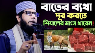 বাতের ব্যথা দূর করতে শিয়ালের মাংস খাবেন!! খাওয়ার আগে ভিডিও একবার দেখুন Molla Nazim Uddin Waz 2021