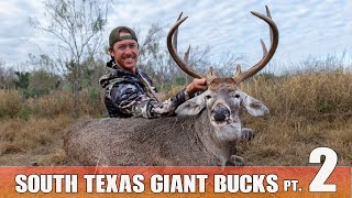 Massive Junkyard Buck Appears! - Hunting Giant Texas Whitetail pt. 2