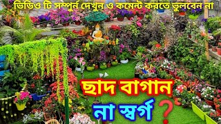 ছাদ বাগান না স্বর্গ ? ভিডিও টি সম্পূর্ণ দেখুন মুগ্ধ হয়ে যাবেন|Rooftop Graden kolkata|Green friends |