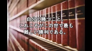 偉人の名言集（アリストテレス編）