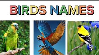 Birds name for kids | Birds name | Birds name in English | Birds name and sound | English learning