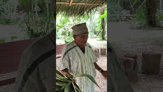 Maestro Shipibo Shaman describes Ayahuasca while brewing the medicine #ayahuascaceremony