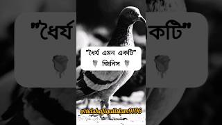 ধৈর্য এমন একটা জিনিস || #advice #religion #sad #motivation ||