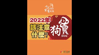 【1994年戌狗】2022壬寅虎年運程 - DOG Year 1994｜2022 Zodiac Animals Forecast