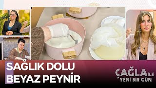 Şirden Mayalı Probiyotik Beyaz Peynir Yapımının İncelikleri - Çağla ile Yeni Bir Gün 1384. Bölüm