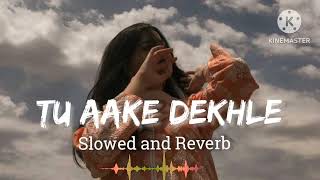 ❤️ Tu 🥰 aake 🎧 dekhle👉loft 🥰 song ❤️//LovelofiSong //(Slowed+Reverb)#viral#tuaakedekhle#trending