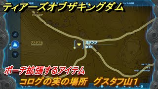 ゼルダの伝説ティアーズオブザキングダム　コログの実の場所　グスタフ山１　ポーチ拡張するアイテム　＃５７８　【ティアキン】