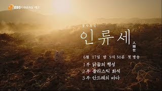 인류가 시작한 종말의 시대 - 인류세