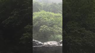 錦屏野溪溫泉￼