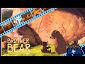 Brother Bear | D+ Us