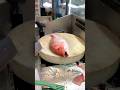 Amazing Red Snapper Fish Cutting Skills Clean #Amazing #shorts #viralvideo