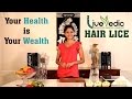DIY: How to Get Rid of Hair Lice Safely with Natural Home Remedies - Live Vedic DIY: How to Get Rid of Hair Lice Safely with Natural Home Remedies - Live Vedic