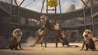 The Five Monkeys Story