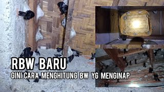 CARA MENGHITUNG WALET YG MENGINAP PADA RBW BARU