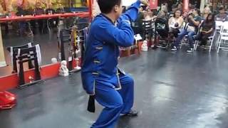 7 Star Praying Mantis Kung Fu | Bung Bo | 螳螂拳