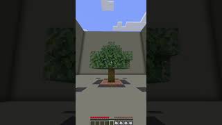 How To Plant a Tree in 1.19 Minecraft #minecraft #minecraftshorts