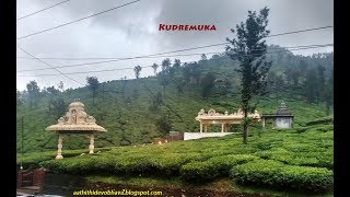 Goomankhan Tea Estate || Kudremuka, Karnataka