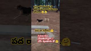 మామయ్య నేను వస్తాను🐕#comedy#poorpeople#monkey#humanity#funny#shortsviral#trend#yt#arakutrip#helppoor