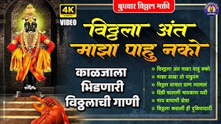 काळजाला भिडणारी विठ्ठलाची गाणी - विठ्ठल अंत माझा पाहू नको | Vitthal Songs Marathi | पांडुरंगाची गाणी