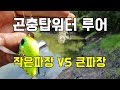 배스낚시 작은파장vs큰파장  곤충탑워터의 두가지 사용방법