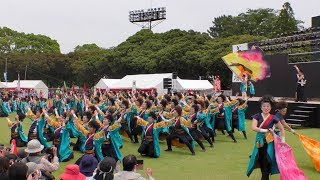 「名古屋学生チーム『鯱』」豊川おいでん祭2018【野球場メイン会場】