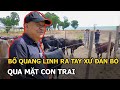 Bố Quang Linh ra tay xử đàn bò, qua mặt con trai