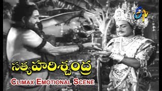 Climax Emotional Scene | Sathya Harishchandra Telugu Movie | NTR | S. Varalakshmi | ETV Cinema