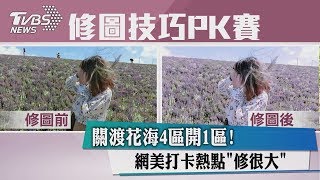 關渡花海4區開1區！網美打卡熱點「修很大」