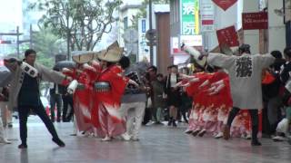 帯屋町筋　土佐のおきゃく　2016.3.6　帯屋町商店街