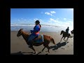 ブルーチーム　サウスヒル　ビーチライディング　ウェスタン　乗馬　カウボーイ　霧島　宮崎　鹿児島