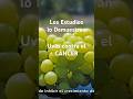 #cancer #uvas #alimentaciónsaludable #resveratrol #ciencia #remediosnaturales #vino #frutas #dieta