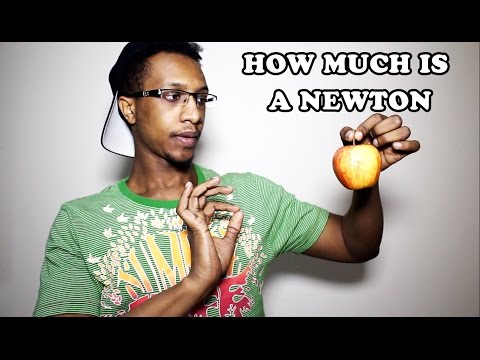 What is 42kg in Newtons?